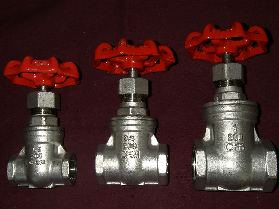 Stainless Gate Valve 1/2